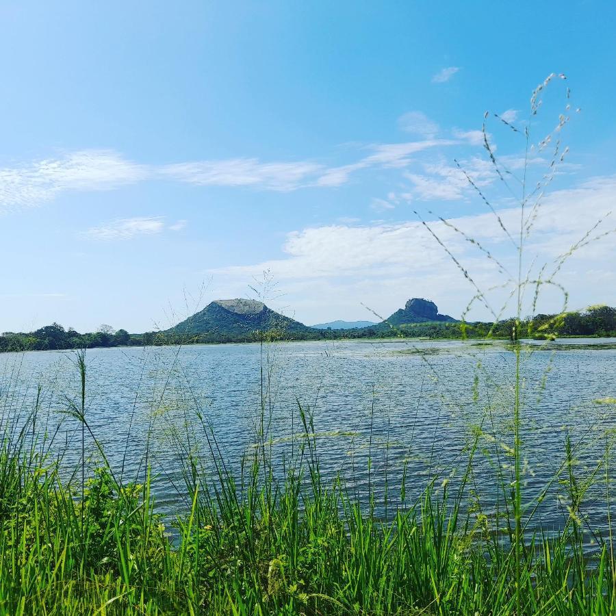 Naturaliza Σιγκιρίγια Εξωτερικό φωτογραφία